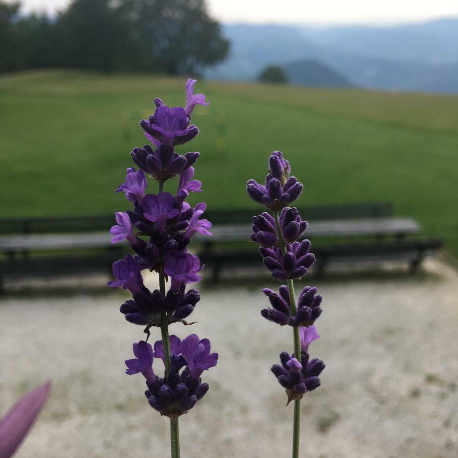 Planinski Dom Na Kalu Panzió Dol pri Hrastniku Kültér fotó